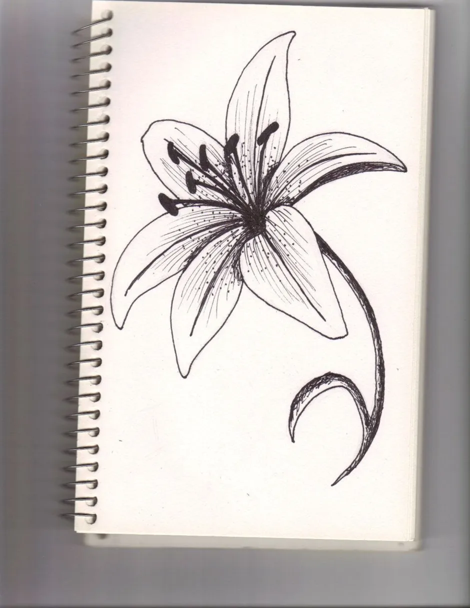Скитч. Рисунки цветов для срисовки. Маленькие рисунки для скетчбука. Рисунки для срисовки цветы. Цветы рисунок карандашом для срисовки.