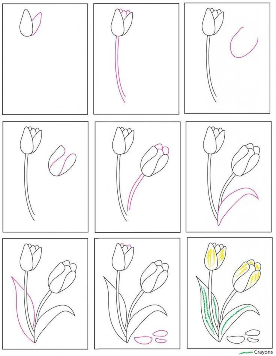 Тюльпан поэтапно карандашом для начинающих. Рисование цветов пошагово. Простые цветы для рисования. Цветы по этапное рисование. Рисование тюльпанов.