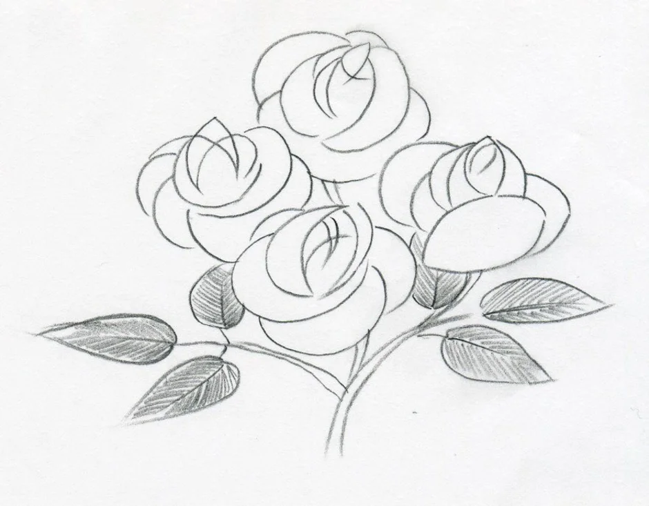 Рисунок цветов простым карандашом. Красивые цветы карандашом. Рисунки цветов карандашом. Наброски цветов карандашом. Красивые рисунки карандашом цветы.