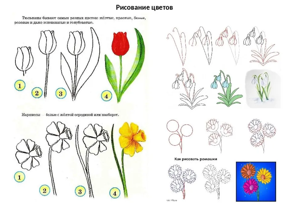 Рисовать цветочки психология