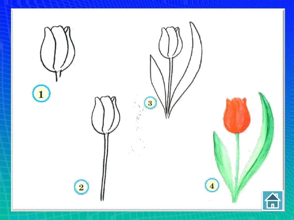 Презентация по изо весенние цветы 4 класс поэтапное рисование