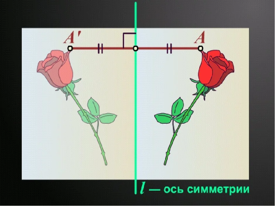 Рисунок центральная ось