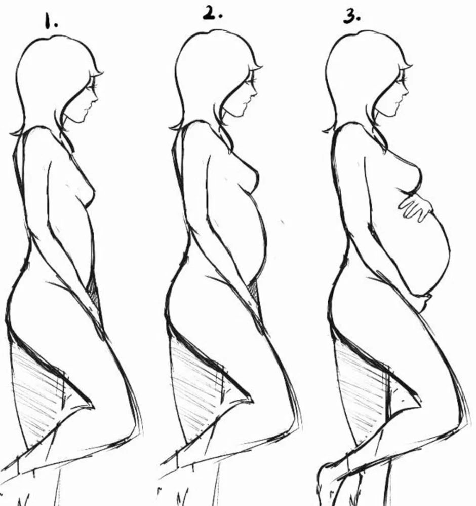 Позы для беременности. Референс позы беременной. Поза на боку. Поза для рисования беременной. Рисование человека сбоку.