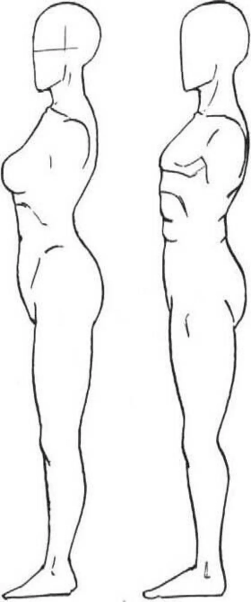 Профиль в полный рост. Женская фигура с боку. Тело человека с боку. Женское тело с боку. Тело человека в профиль.