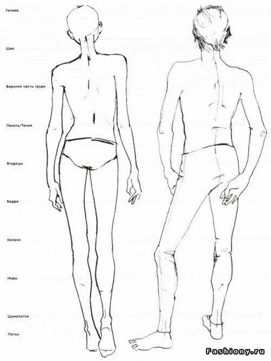 Как рисовать тело человека сзади