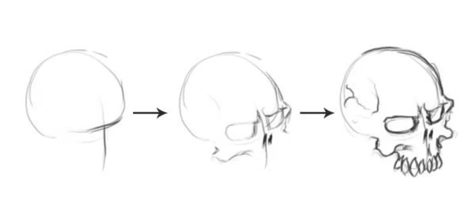 Как нарисовать череп человека поэтапно карандашом для начинающих