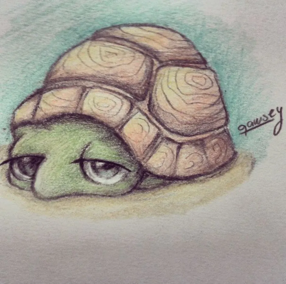 Turtle как рисовать