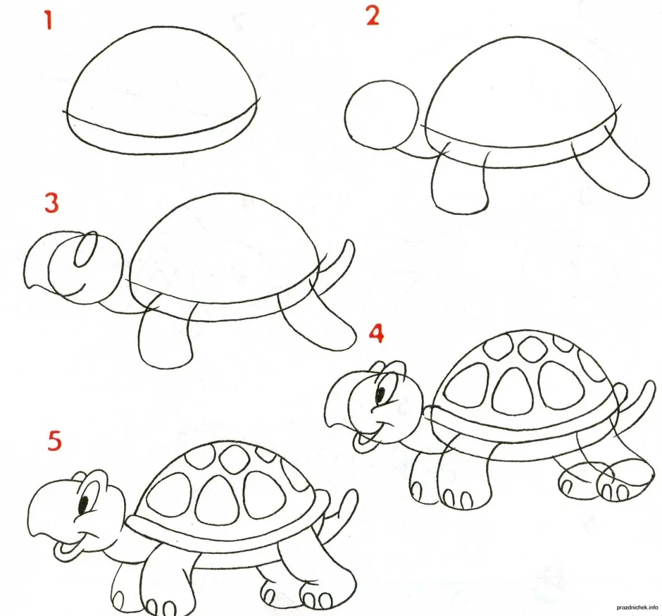 Как нарисовать черепашку картинки