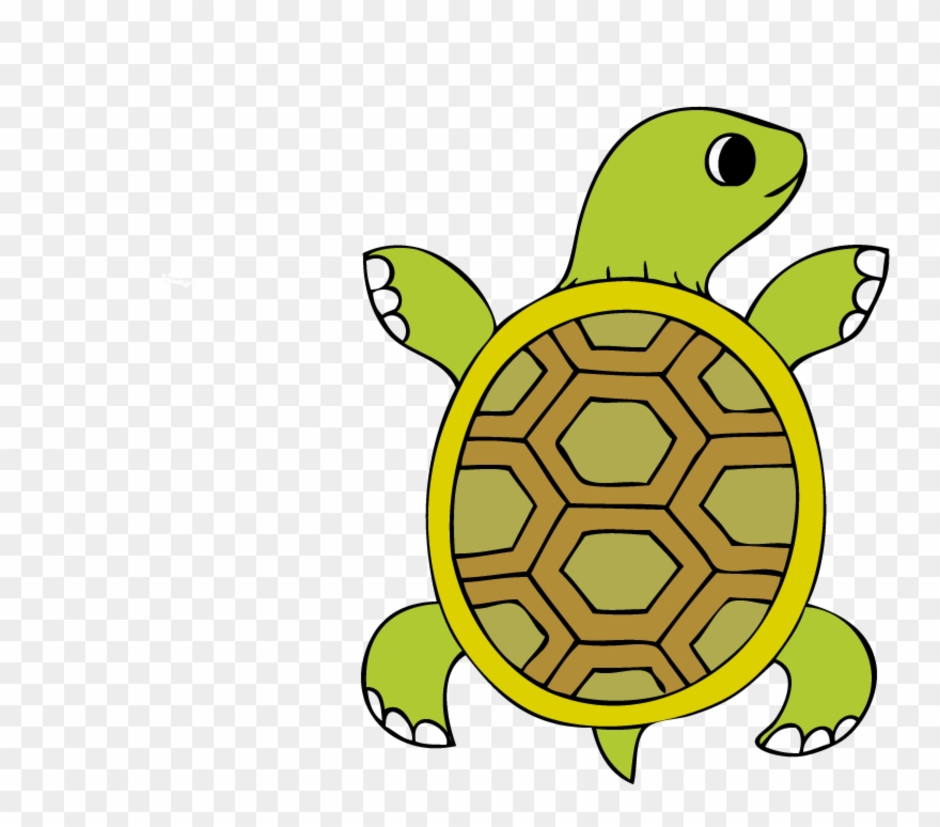 Черепашка картинка. Черепаха рисунок. Черепашка рисунок. Нарисовать черепаху. Рисование черепахи для детей.