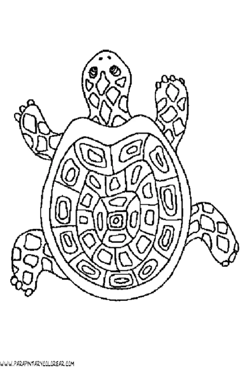 Раскраска черепаха с узорами