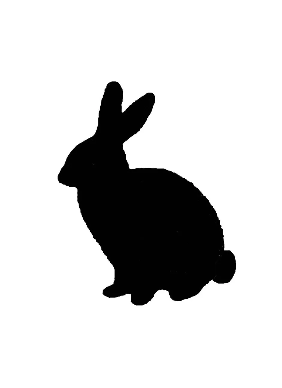 Черный Кролик Рисунок (50 Фото)