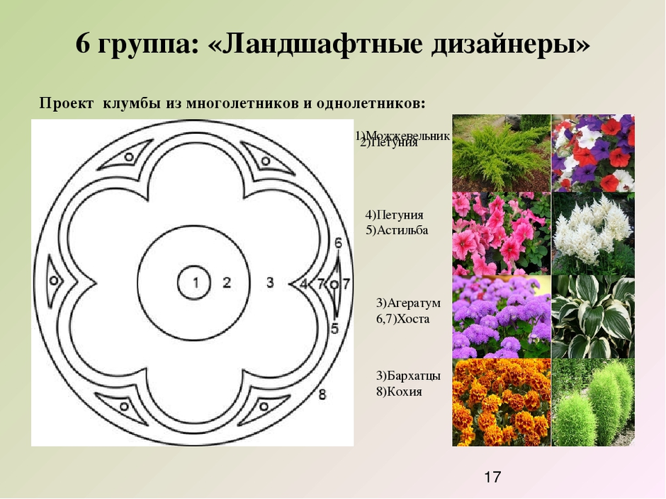 Чертежи клумб и цветников