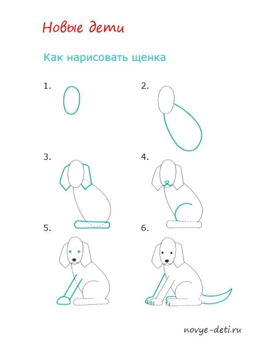 Нарисовать щенка поэтапно для детей