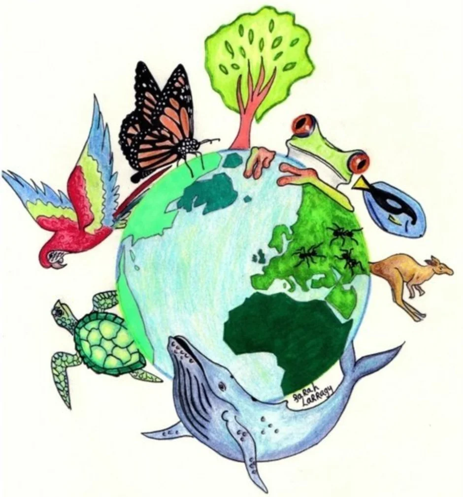 Человек часть биосферы нарисовать. Детям об экологии. Экология земли. Экологический рисунок. Рисунок на тему экология.