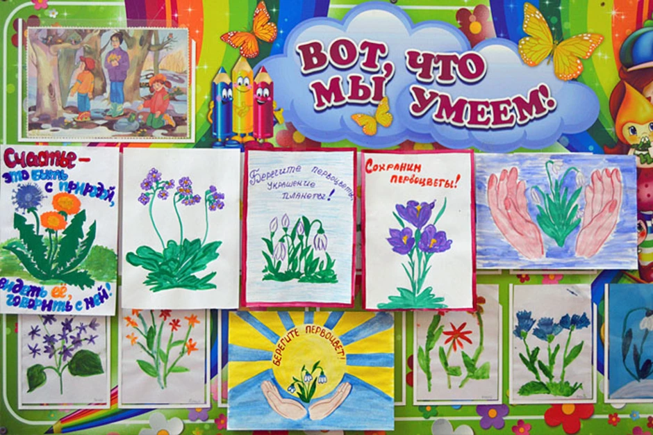 Плакат первоцветы. Первоцветы для детского сада. Плакат в защиту первоцветов. Первоцветы плакаты для детского сада.