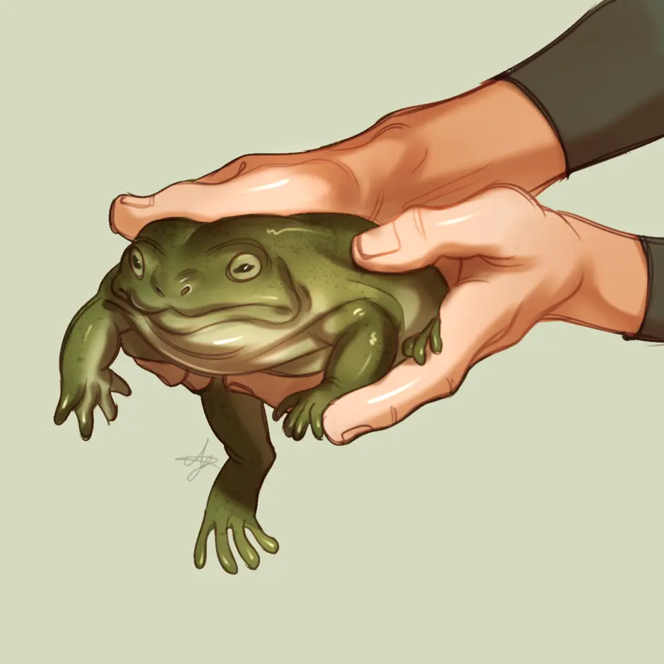 Goblincore жаба