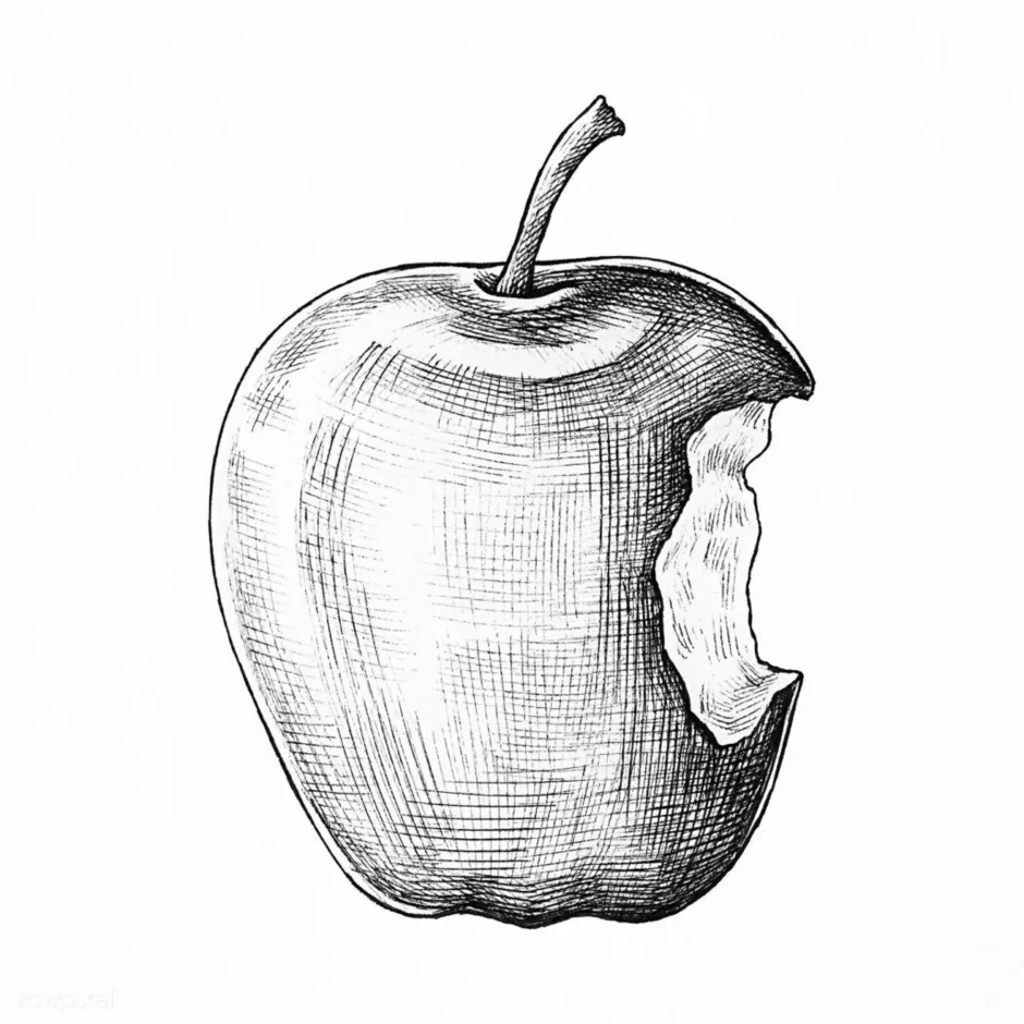 Откусанное яблоко apple рисунок