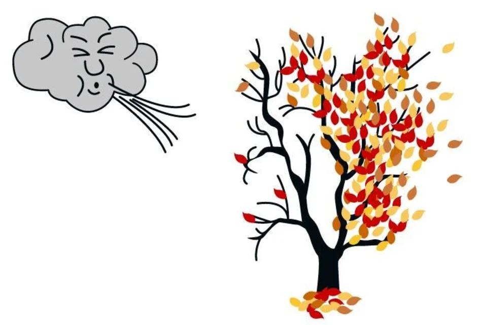 Дует сильно холодный ветер. Ветер сдувает листья с деревьев. Дерево на ветру рисунок. Осеннее дерево на ветру. Ветер рисунок.