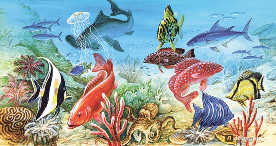Морской мир кратко. Обитатели воды. Обитатели водной среды для детей. Жители морей и океанов. Животные морей и океанов для детей.