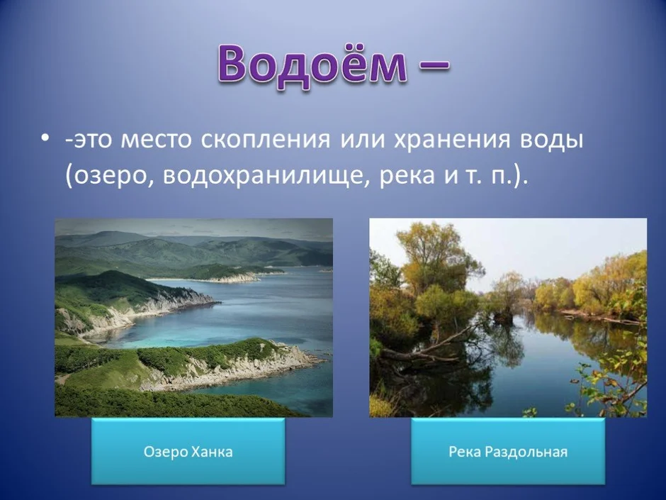 Проект водоемы нашего края