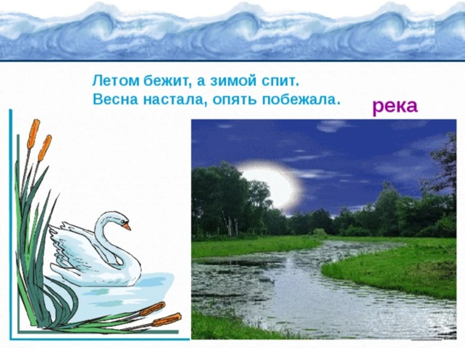 Рисунок водные богатства