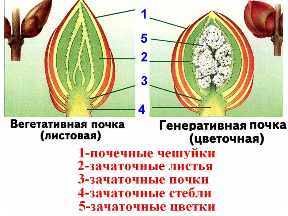 Рассмотрите рисунок и выполните задания 9 и 10