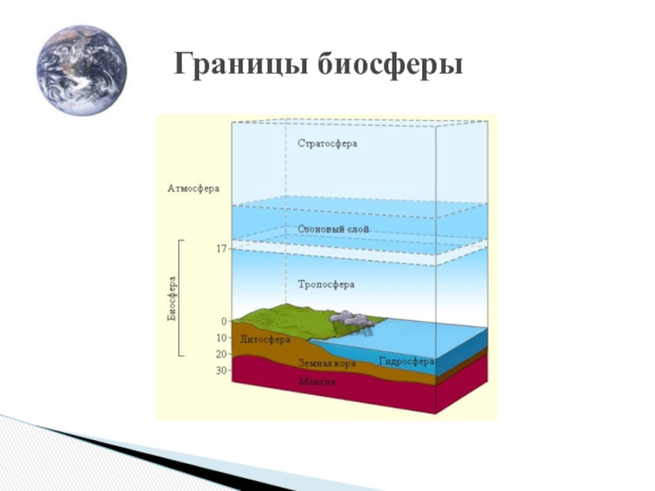 Верхняя часть литосферы входит в состав биосферы. Границы биосферы атмосфера гидросфера литосфера. Границы распространения оболочки биосферы. Границы распространения биосферы схема. Рис 103 границы биосферы.