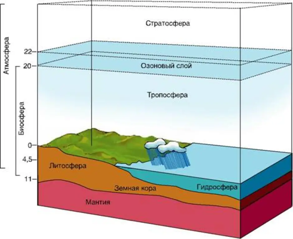 Рассмотрите рисунок изображающий строение биосферы