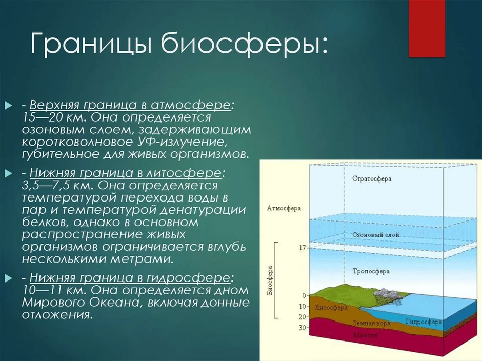 Схема границы биосферы покажите штриховкой область земли в которой существует жизнь 6 класс