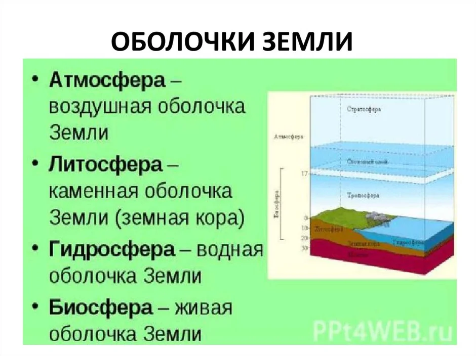 Биосфера оболочка земли презентация 6 класс