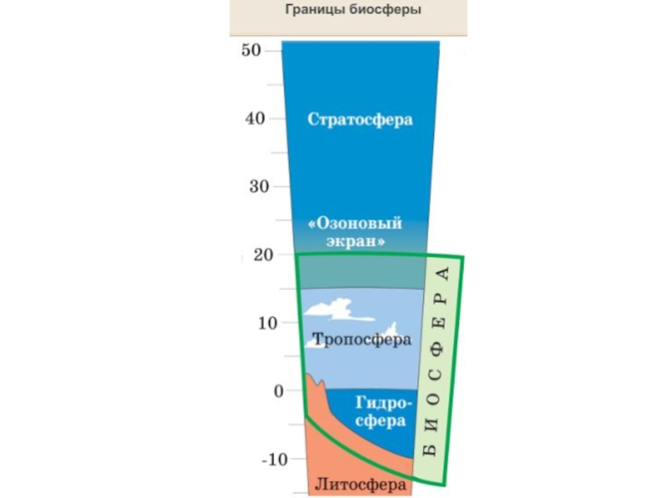 Границы биосферы картинка