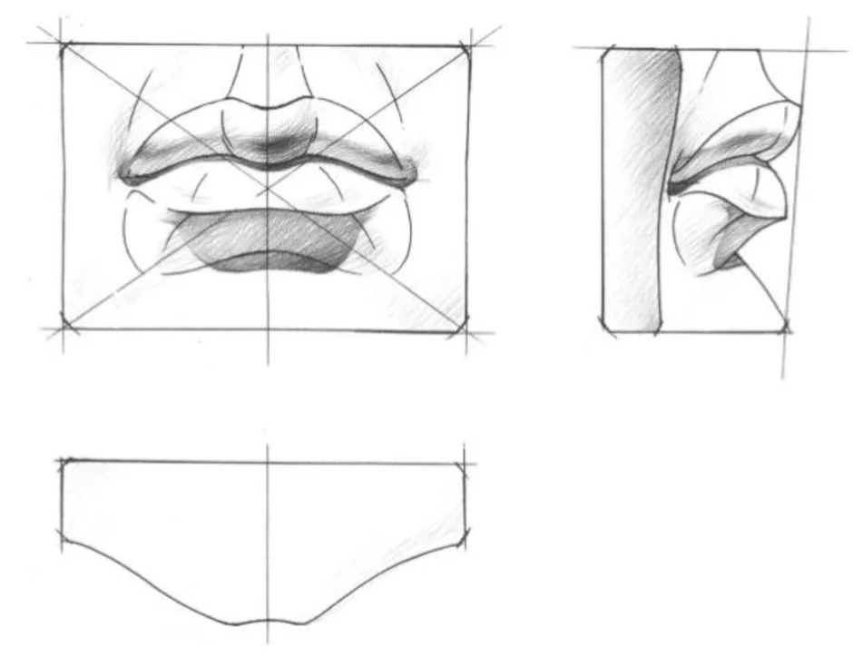 Рисунок губы давида построение рисунок