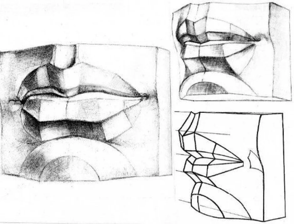 Академический рисунок губы и нос давида