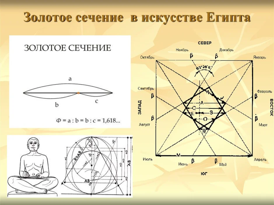 Золотое сечение картинки для презентации