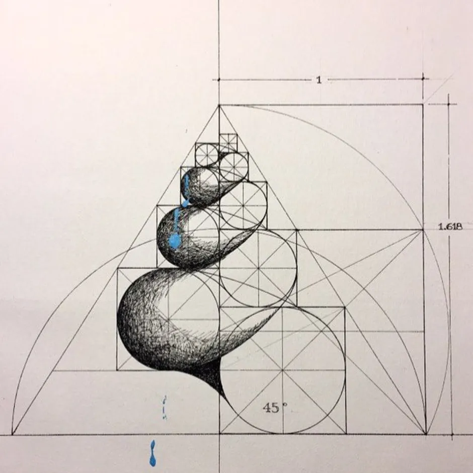 Рисунок по золотому сечению
