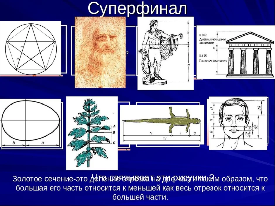 Как нарисовать золотое сечение поэтапно