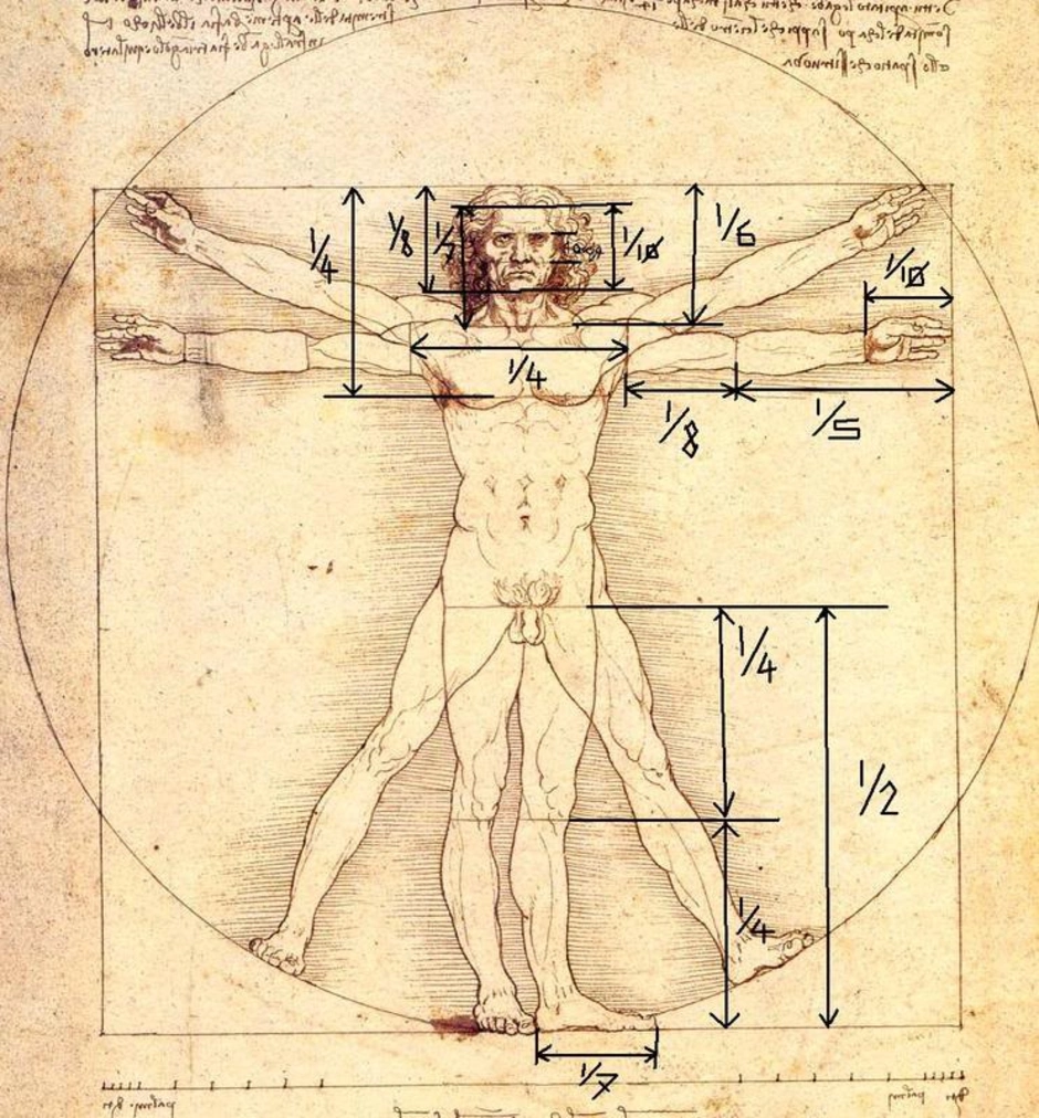 Смысл рисунка витрувианский человек
