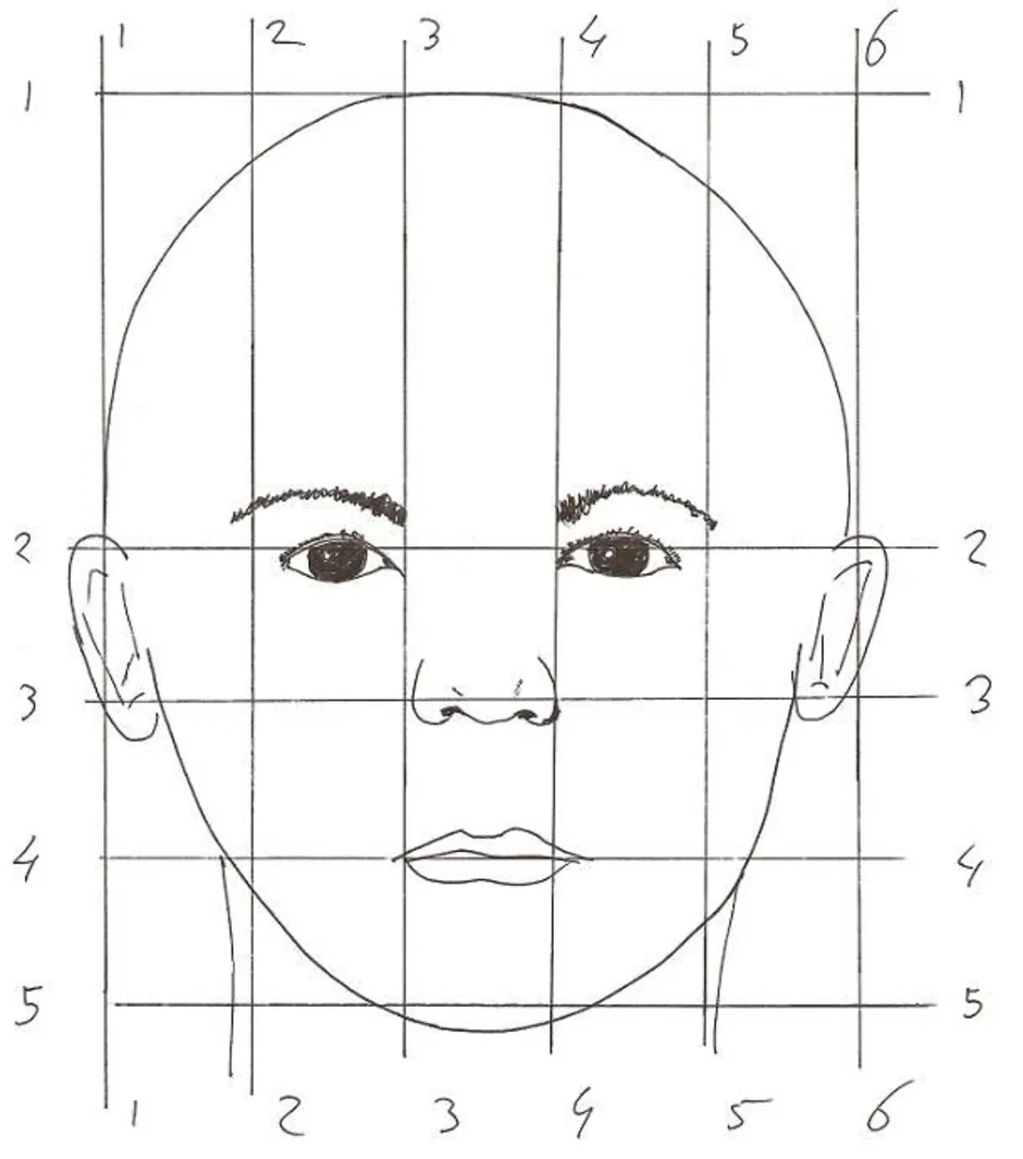 Лицо рисунок схема. Пропорции портрета человека. Пропорции лица анфас. Портрет схема рисунок пропорции головы. Пропорции рисования портрета.