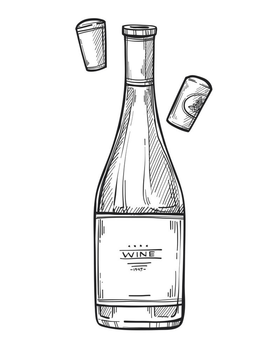 Рисунок бутылки. Бутылка эскиз. Вино нарисованное. Наброски бутылок. Нарисованная бутылка вина.