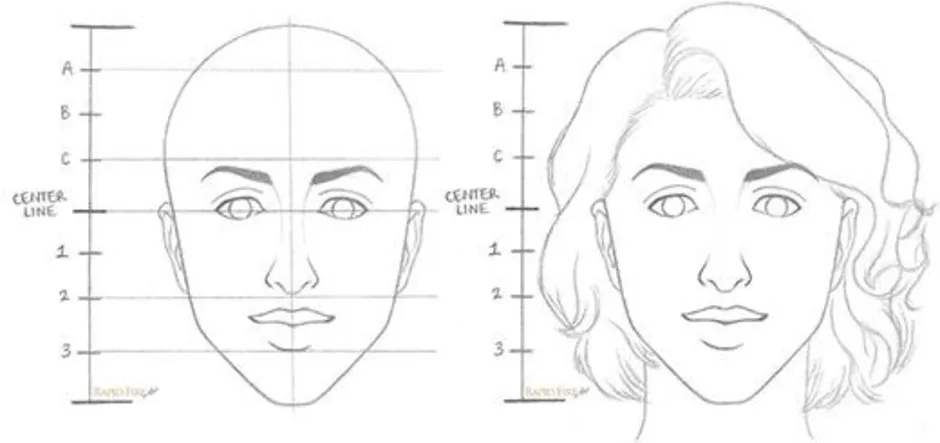 Пропорции как рисовать лицо человека