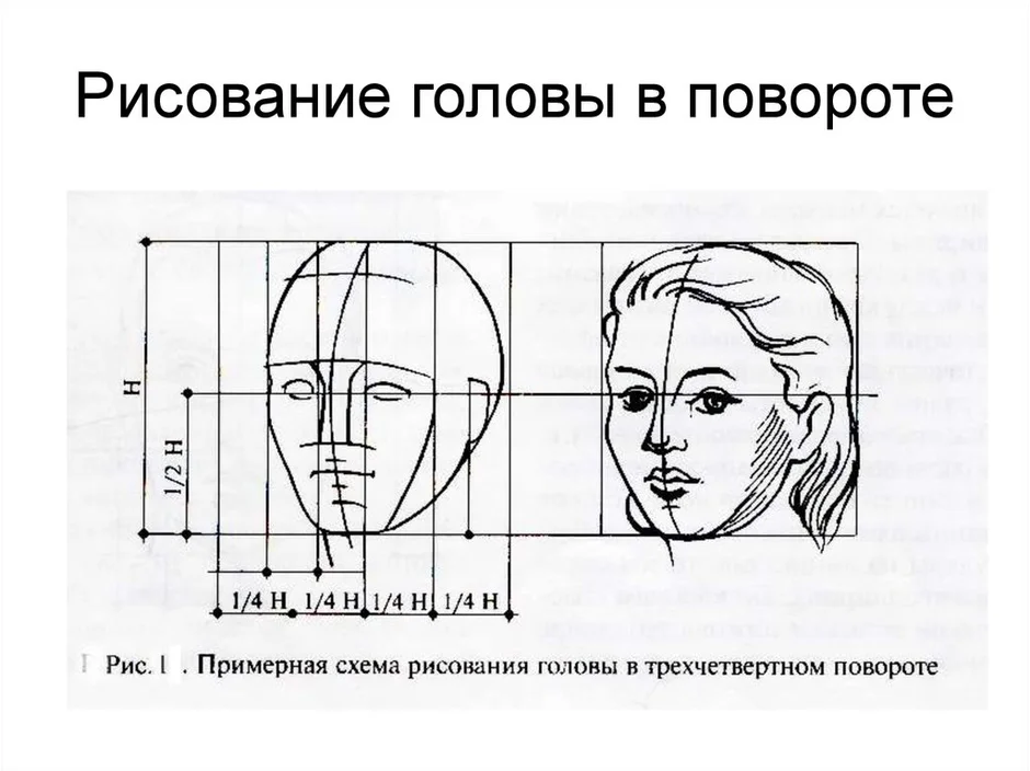 Рисунок лица 6 класс изо