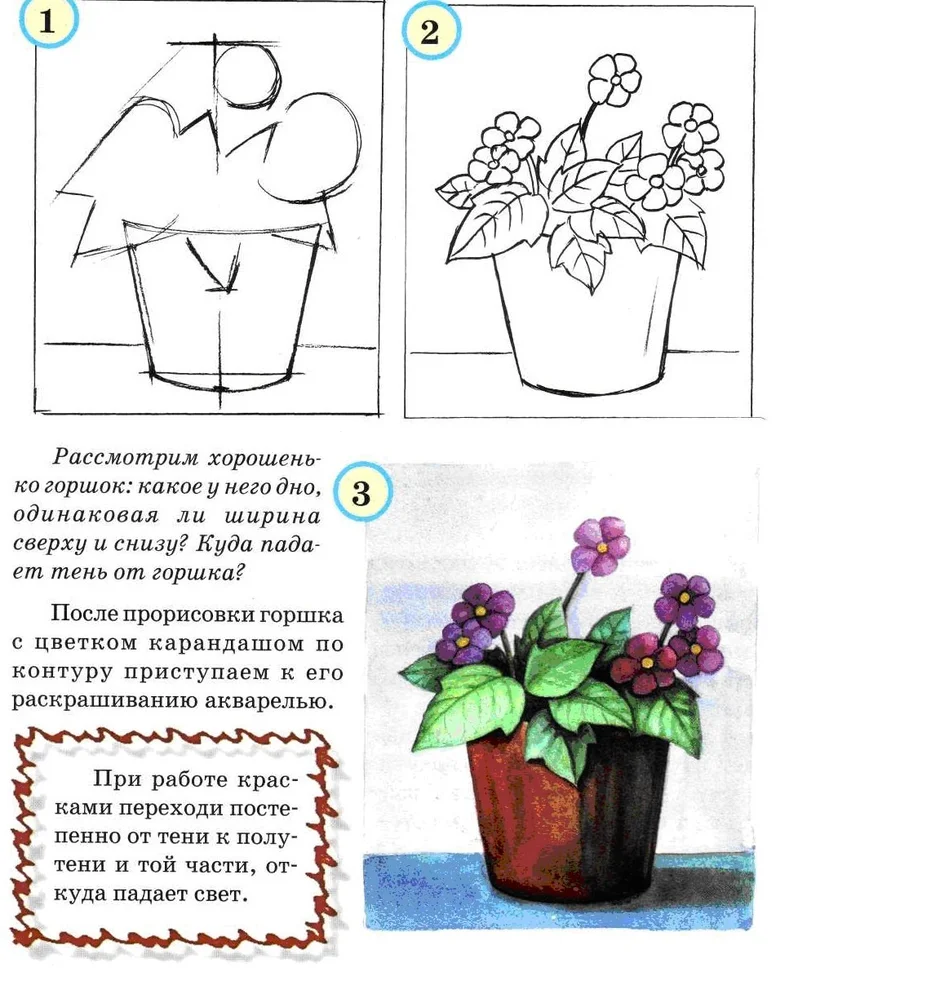 Как нарисовать комнатное растение