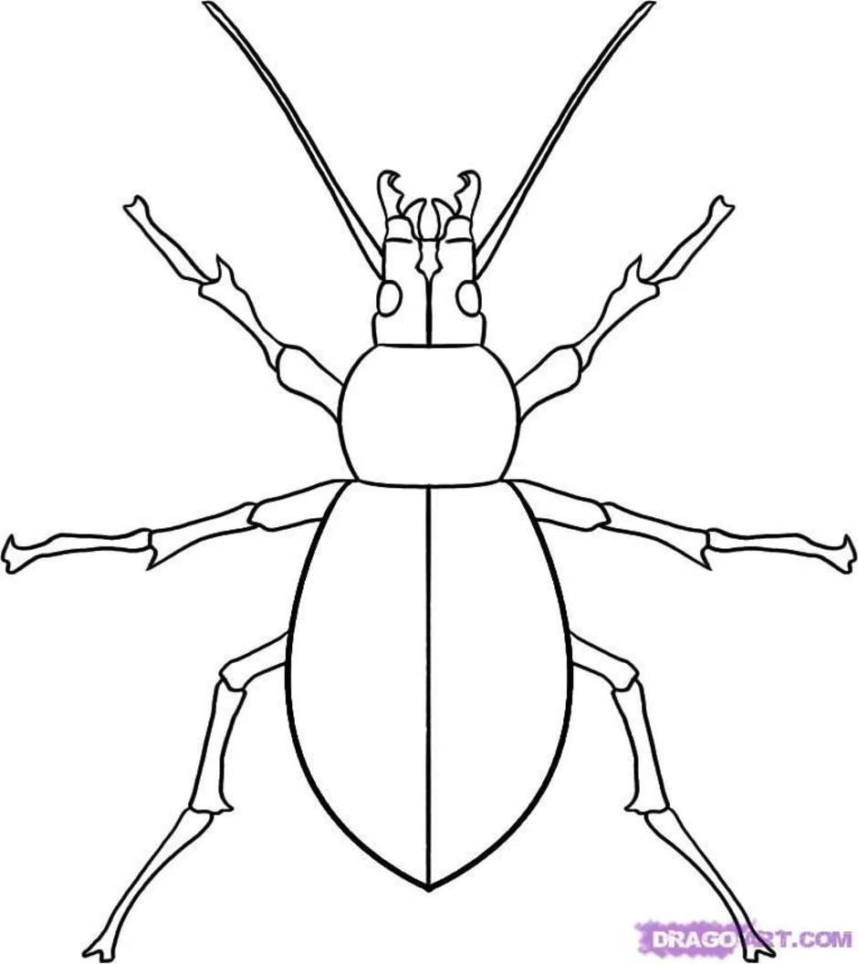 Нарисовать жука карандашом