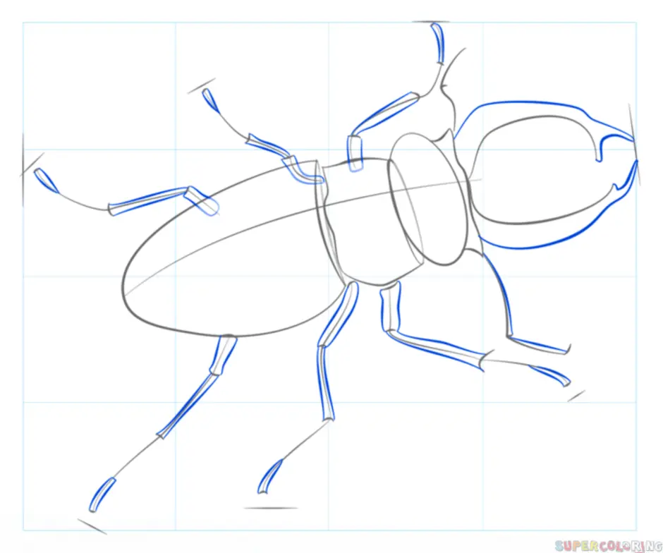 Как нарисовать жука оленя