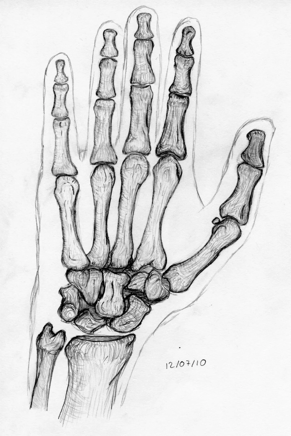 Кости руки человека рисунок на руке