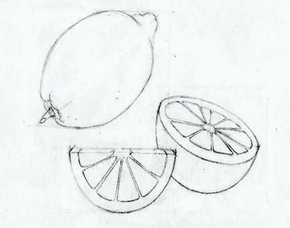 Нарисовать лимон карандашом поэтапно