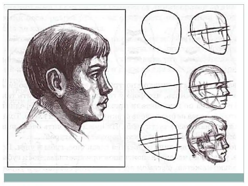 Как рисовать голову в профиль