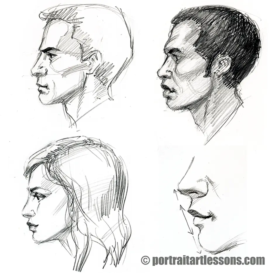 Профиль поэтапно. Лицо человека в профиль. Наброски мужской головы. Зарисовки лица человека. Лицо в профиль карандашом.