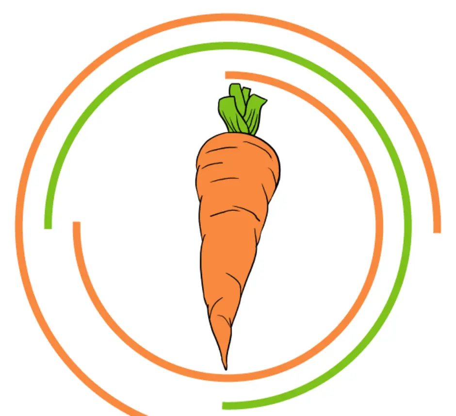 Включи морковь про новый. Морковка для рисования. Морковка рисунок. Морковка на тарелке. Нарисовать морковь.