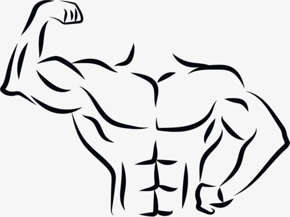 Знаки сильных людей. Нарисованные мускулы. Черно белые мускулы. Мускулы без фона. Мускулы символ.